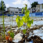 Basen "Tęcza" / Piotr Kwaśniewski / Radio Kielce