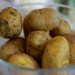 Stacja Wakacje - Smakuj lato / Piotr Kwaśniewski / Radio Kielce