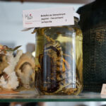 Przedmioty zarekwirowane przez Izbę Administracji Skarbowej w Kielcach / Patryk Chudzik / Radio Kielce