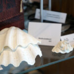 Przedmioty zarekwirowane przez Izbę Administracji Skarbowej w Kielcach / Patryk Chudzik / Radio Kielce