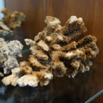 Przedmioty zarekwirowane przez Izbę Administracji Skarbowej w Kielcach / Patryk Chudzik / Radio Kielce