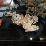 Przedmioty zarekwirowane przez Izbę Administracji Skarbowej w Kielcach / Patryk Chudzik / Radio Kielce