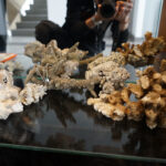 Przedmioty zarekwirowane przez Izbę Administracji Skarbowej w Kielcach / Patryk Chudzik / Radio Kielce