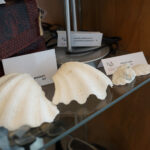 Przedmioty zarekwirowane przez Izbę Administracji Skarbowej w Kielcach / Patryk Chudzik / Radio Kielce