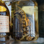 Przedmioty zarekwirowane przez Izbę Administracji Skarbowej w Kielcach / Patryk Chudzik / Radio Kielce