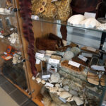 Przedmioty zarekwirowane przez Izbę Administracji Skarbowej w Kielcach / Patryk Chudzik / Radio Kielce