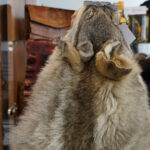 Przedmioty zarekwirowane przez Izbę Administracji Skarbowej w Kielcach / Patryk Chudzik / Radio Kielce