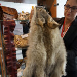 Przedmioty zarekwirowane przez Izbę Administracji Skarbowej w Kielcach / Patryk Chudzik / Radio Kielce