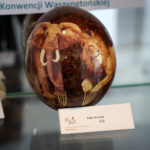 Przedmioty zarekwirowane przez Izbę Administracji Skarbowej w Kielcach / Patryk Chudzik / Radio Kielce