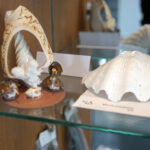 Przedmioty zarekwirowane przez Izbę Administracji Skarbowej w Kielcach / Patryk Chudzik / Radio Kielce