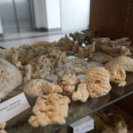 Przedmioty zarekwirowane przez Izbę Administracji Skarbowej w Kielcach / Patryk Chudzik / Radio Kielce