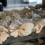 Przedmioty zarekwirowane przez Izbę Administracji Skarbowej w Kielcach / Patryk Chudzik / Radio Kielce