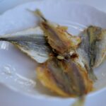 Kielce. Stacja Wakacje - Smakuj lato. / Piotr Kwaśniewski / Radio Kielce