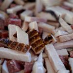 Kielce. Stacja Wakacje - Smakuj lato. / Piotr Kwaśniewski / Radio Kielce