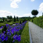 Ogród Botaniczny w Kielcach / Patryk Cudzik / Radio Kielce