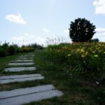 Ogród Botaniczny w Kielcach / Patryk Cudzik / Radio Kielce