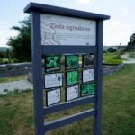 Ogród Botaniczny w Kielcach / Patryk Cudzik / Radio Kielce