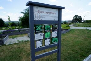 Ogród Botaniczny w Kielcach / Patryk Cudzik / Radio Kielce