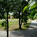 Ogród Botaniczny w Kielcach / Patryk Cudzik / Radio Kielce