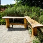 Ogród Botaniczny w Kielcach / Patryk Cudzik / Radio Kielce