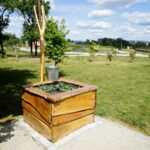 Ogród Botaniczny w Kielcach / Patryk Cudzik / Radio Kielce