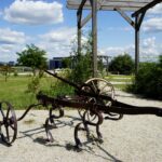 Ogród Botaniczny w Kielcach / Patryk Cudzik / Radio Kielce