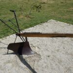 Ogród Botaniczny w Kielcach / Patryk Cudzik / Radio Kielce