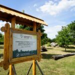 Ogród Botaniczny w Kielcach / Patryk Cudzik / Radio Kielce