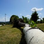 Ogród Botaniczny w Kielcach / Patryk Cudzik / Radio Kielce