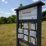 Ogród Botaniczny w Kielcach / Patryk Cudzik / Radio Kielce