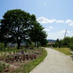 Ogród Botaniczny w Kielcach / Patryk Cudzik / Radio Kielce