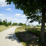 Ogród Botaniczny w Kielcach / Patryk Cudzik / Radio Kielce