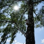 Ogród Botaniczny w Kielcach / Patryk Cudzik / Radio Kielce