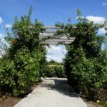 Ogród Botaniczny w Kielcach / Patryk Cudzik / Radio Kielce