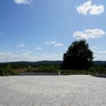 Ogród Botaniczny w Kielcach / Patryk Cudzik / Radio Kielce