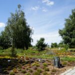 Ogród Botaniczny w Kielcach / Patryk Cudzik / Radio Kielce