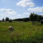 Ogród Botaniczny w Kielcach / Patryk Cudzik / Radio Kielce