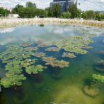 Ogród Botaniczny w Kielcach / Patryk Cudzik / Radio Kielce