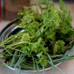 Stacja Wakacje - Smakuj lato. / Piotr Kwaśniewski / Radio Kielce