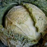 Kielce. Stacja Wakacje - Smakuj lato. / Piotr Kwaśniewski / Radio Kielce