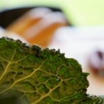 Kielce. Stacja Wakacje - Smakuj lato. / Piotr Kwaśniewski / Radio Kielce