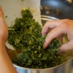 Kielce. Stacja Wakacje - Smakuj lato. / Piotr Kwaśniewski / Radio Kielce