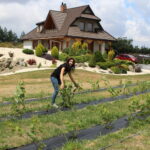 Gospodarstwo Wioletty Poros-Sakwy / Marta Gajda / Radio Kielce