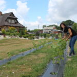 Gospodarstwo Wioletty Poros-Sakwy / Marta Gajda / Radio Kielce