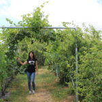 Gospodarstwo Wioletty Poros-Sakwy / Marta Gajda / Radio Kielce