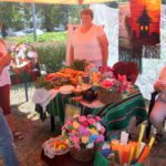 Letni Raport Dnia / Krzysztof Bujnowicz / Radio Kielce