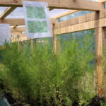 Gospodarstwo Wioletty Poros-Sakwy / Marta Gajda / Radio Kielce