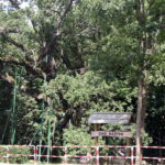 Letni Raport Dnia / Grzegorz Jamka / Radio Kielce