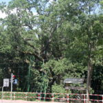 Letni Raport Dnia / Grzegorz Jamka / Radio Kielce