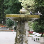 Letni Raport Dnia / Grzegorz Jamka / Radio Kielce